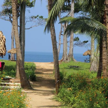 Pearl Park Beach Resort-Neil Island Lakshmanpur Exterior photo